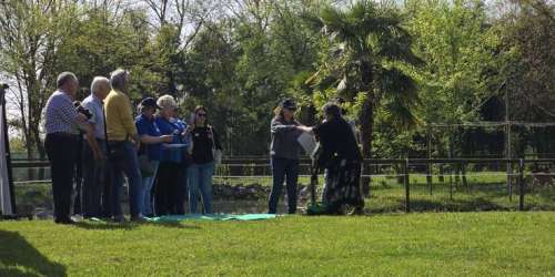 Fondazione Alvise 07-04-2024